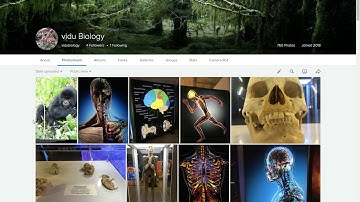 vidubiology tutorial uploading on Flickr