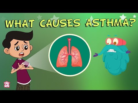 What Causes Asthma? | The Dr. Binocs Show | Best Learning Videos For Kids | Peekaboo Kidz