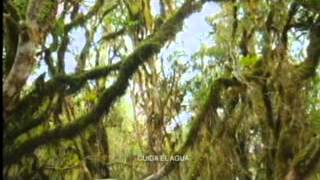 140428072 Air Wick Sr Unen Oaxac Coz Nva 20S 28 Abr 2014