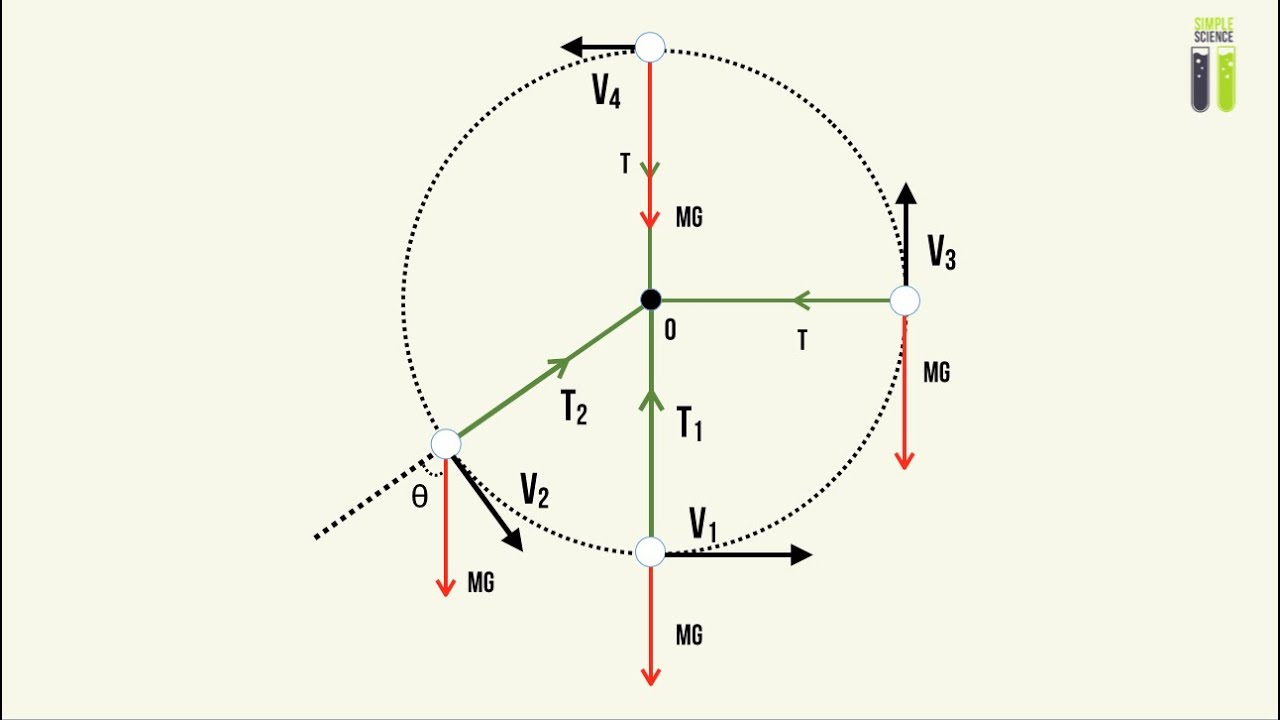 Vertical Circular Motion - Part 2 - Forces - YouTube
