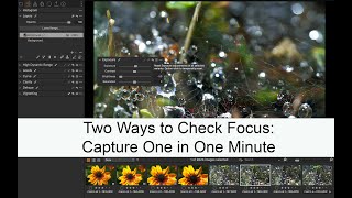 Two Ways to Check Focus: Capture One in One Minute