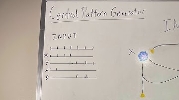 Central Pattern Generation
