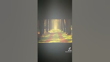 سورة الفتح,تلاوة هادئة           {{هو الذي انزل السكينة في قلوب المؤمنين ليزدادو إيمانا.....}}