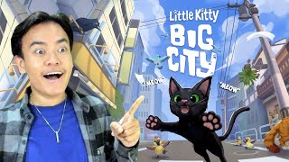 PETUALANGAN KUCING HITAM YANG LUCU!! - little kitty big city