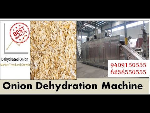 Dehydrator Machine - Vegetable And Fruit Dehydration Plant Manufacturer  from Pune