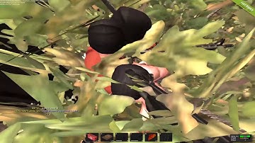 Rust Legacy / Wipe day / (Rusted.cz)