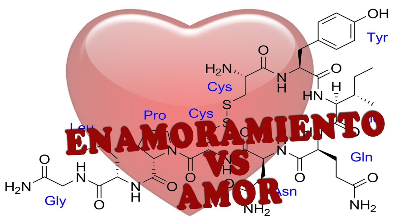 ¿EL AMOR ES SOLO QUÍMICA? | Reflexiones en el parque | por PsicoVlog mentos