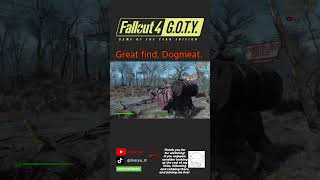 good dog #isa #live #stream #fallout4 #clips #playthrough #gaming #ytshorts #action #rpg #fallout