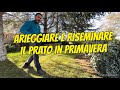 Come arieggiare e riseminare il prato in primavera  microterme