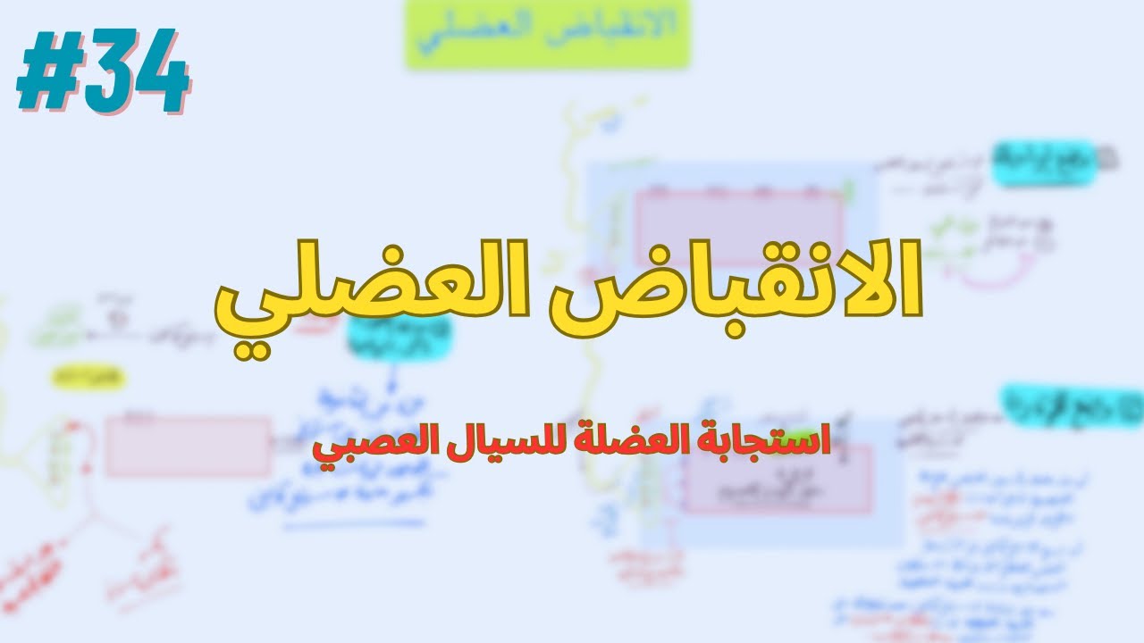 الانقباض العضلي || استجابة العضلة للسيال العصبي