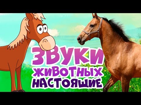 ЗВУКИ ЖИВОТНЫХ для самых маленьких - развивающие мультики для детей - как говорят животные