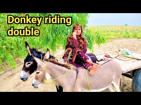 Donkey riding double//Donkey riding funny video//Donkey riding girl//Rukhsana village vlog