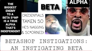 Betashop Instigations Has Scorned Attachment Issue When His Credential Was Pulled So Hes