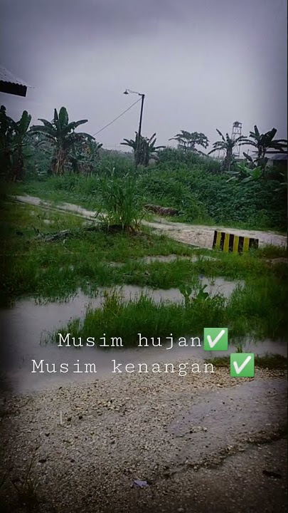 story' wa hujan air