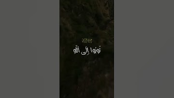 "توبوا إلى الله توبة نصوحاً"💔🤲 #ماهر_المعيقلي #القرآن_الكريم #quran #قرآن #راحة_نفسية #تلاوات