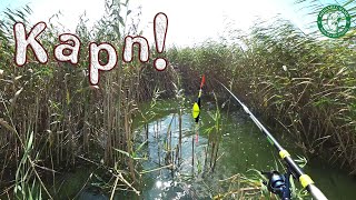 видео: ОФИГЕННАЯ РЫБАЛКА НА НЕМЕЦКОМ ОЗЕРЕ С НОЧЕВКОЙ! У КОГО УДОЧКИ ЛОМАЕТ, А У НАС? РЫБАЛКА В КАЗАХСТАНЕ! картинка: ОФИГЕННАЯ РЫБАЛКА НА НЕМЕЦКОМ ОЗЕРЕ С НОЧЕВКОЙ! У КОГО УДОЧКИ ЛОМАЕТ, А У НАС? РЫБАЛКА В КАЗАХСТАНЕ!