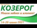 КОЗЕРОГ♑ 14 июня -20 июня 2021🌷 таро гороскоп/таро прогноз /любовь, карьера, финансы, здоровье👍