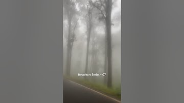 Route to netathart in monsoon #jharkhandtourism #ranchi_jharkhand #netarhat #shortsfeed