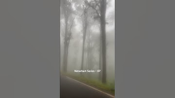 Route to netathart in monsoon #jharkhandtourism #ranchi_jharkhand #netarhat #shortsfeed