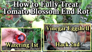 How to Stop Tomato Blossom End Rot (BER)  Eggshells Only work If You Do This:  Vinegar Hack!