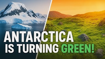 Antarctica Is Turning Green — And It’s Happening Much Faster Than We Thought! | Most Viral Today