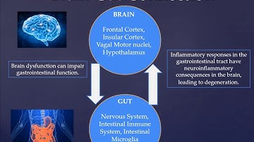 Dina Khader Presentation on Neurodegeneration