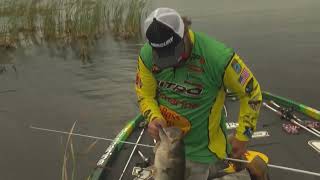 How the wind can affect how and where to find fish Wealth