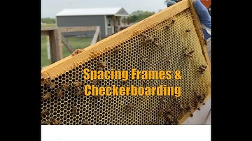 Checking Supers, Checkerboarding, and Spacing Frames in Supers