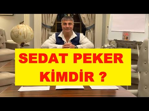 Sedat Peker Kimdir