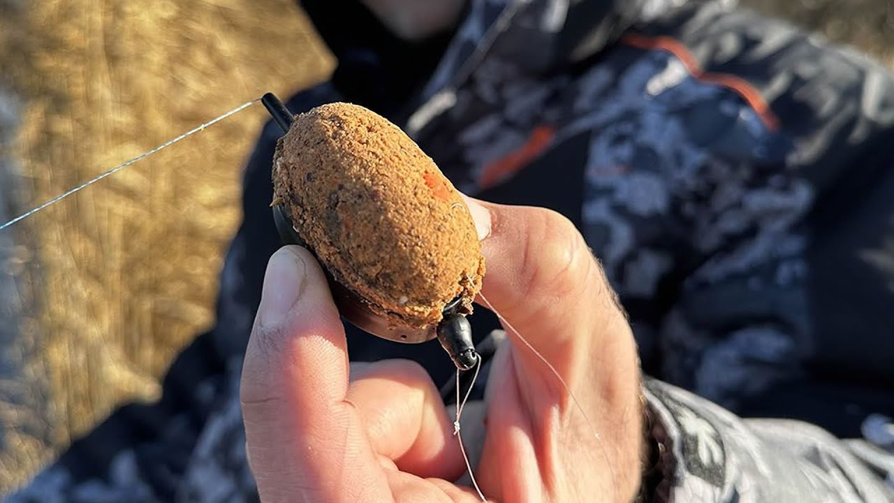 Method feeder škola - lednové rybaření