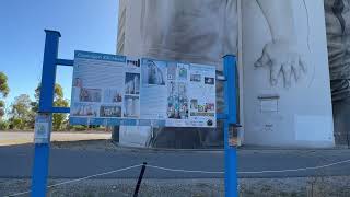 #coonalpyn silo art