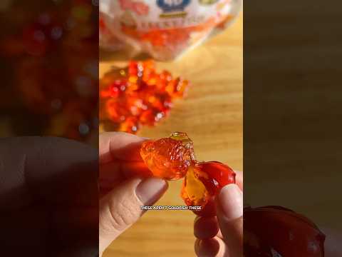 Trying Fish Shaped 4D Gummies 🐟 #gummy #gummies #candy