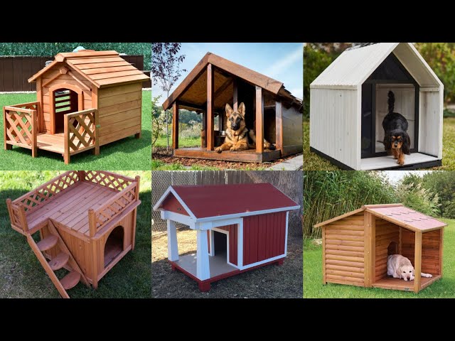 19+ DIY Dog House Ideas That Work