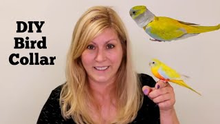 How to make a DIY Emergency Bird Collar