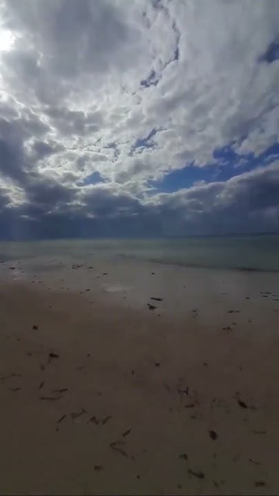 Tsunami camera footage