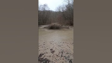 Beast renegade xmr 1K goin hard. #shorts