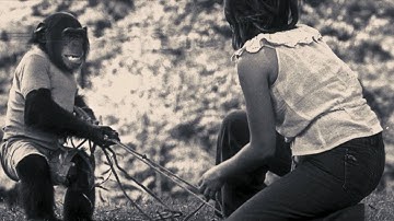 Project Nim - Trailer