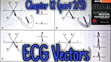 ECG Vectors - Chapter 12 (part 1/4) - Guyton and Hall text book of physiology.