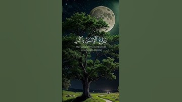 تلاوة خاشعة تريح القلب  #قرآن #قران_كريم #راحة_نفسية #اكسبلور #ورتل_القرآن_ترتيلا