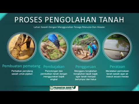 Video: Apa itu pertanian olah tanah konservasi?