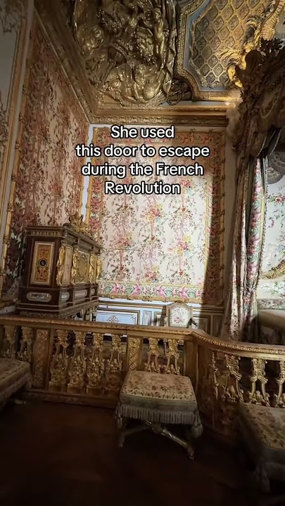 Don’t miss the secret door when visiting Marie Antoinette’s room in Versailles✨ #marieantoinette