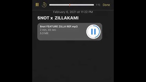 $NOT & ZillaKami — Snippet