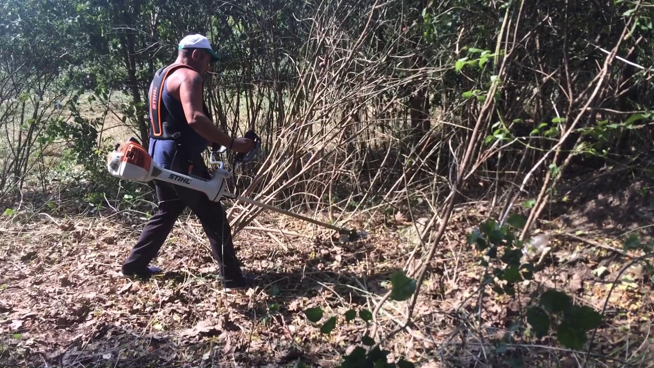 STIHL FS 360 + Circular saw blade for woody shrubs