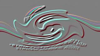 Mtrcb Spg In Swirl Embosser
