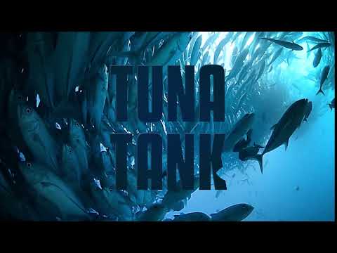 Tuna Tank - Intro [UHD]