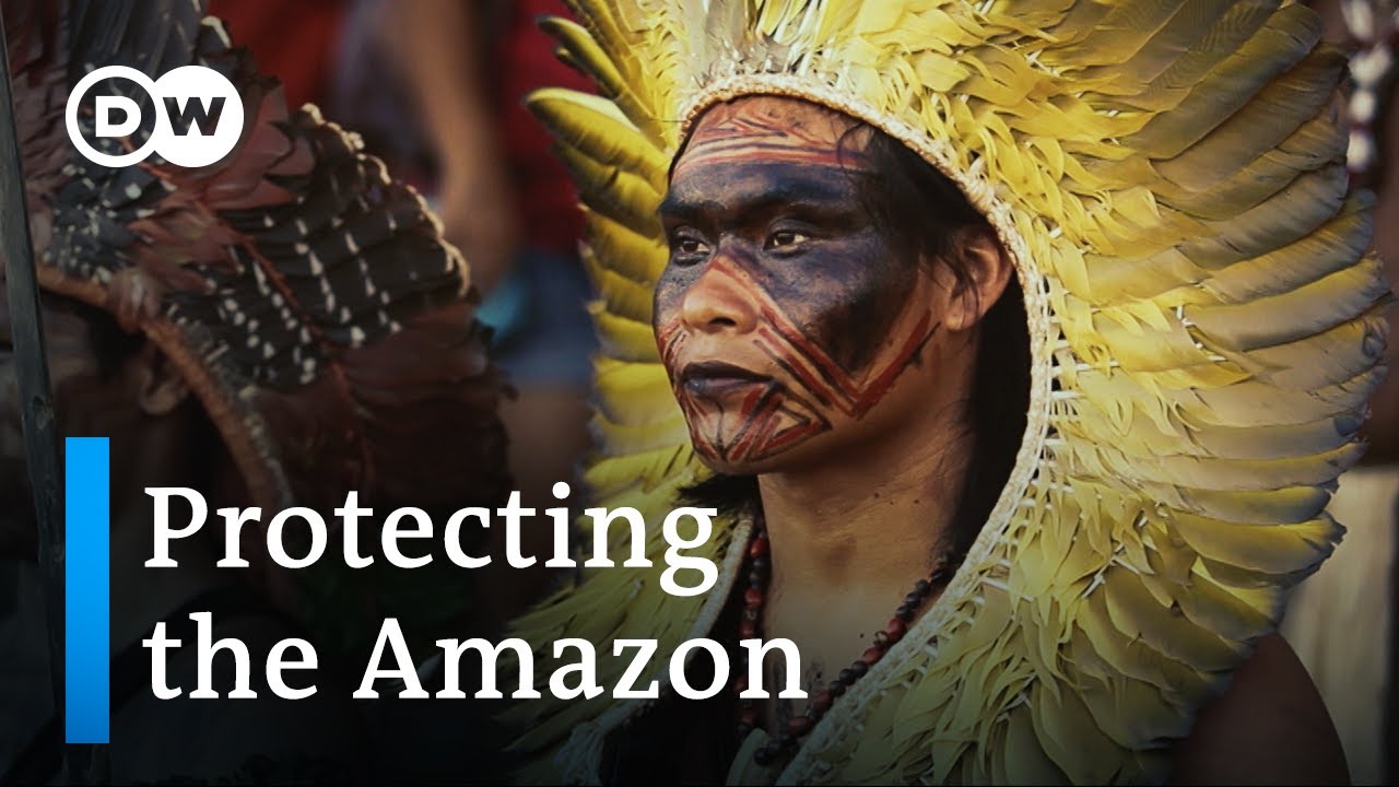 The Amazon in Danger - Indigenous Peoples and Their Struggle for the Rainforest