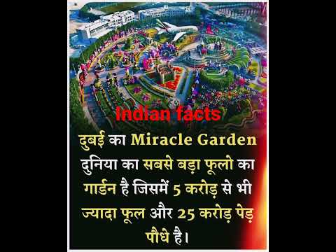 world😱😱😱 biggest flower🌹🌺 garden🌹🌹