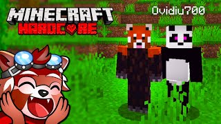 MINECRAFT HARDCORE cu Ovidiu! CEL MAI BUN SEED cu SAT SI SPAWNER