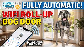 This Smart Dog Door is a Game Changer! 🐶 High Tech Pet Automatic Dog Door Review!