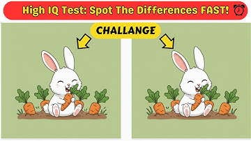 High IQ Test: Spot The Differences FAST!! [BrainSpot Puzzles #2]